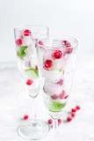 mint and red berries in ice cubes in glasses white background