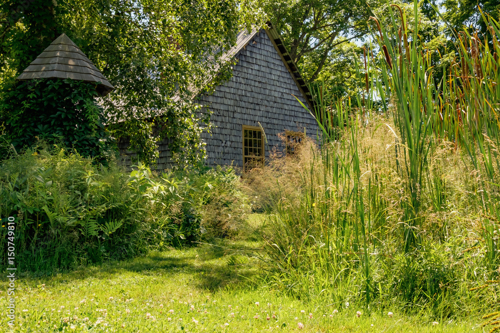 Fototapeta premium Country Living