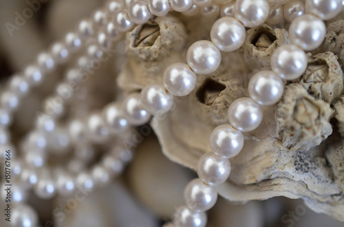 Oyster Shell and Pearl Necklace