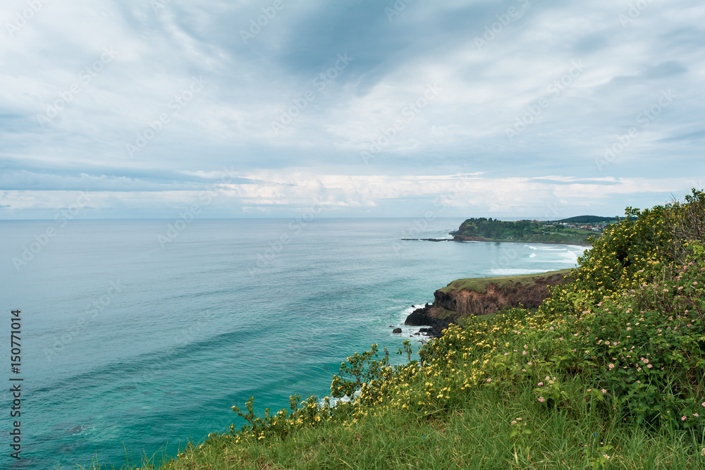 Fototapeta premium The view from the hill with yellow flowers on the ocean and horizon with cumulus clouds and stormy grey sky in Ballina, Byron Bay, Australia