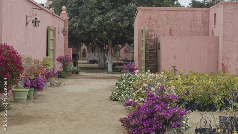 Fototapeta premium Industrial wine and pisco production, at vineyards near Ica, Peru