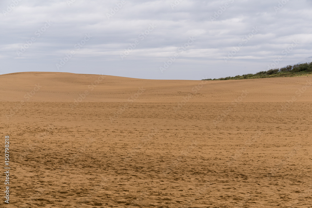 Fototapeta premium Tottori Sand Dunes