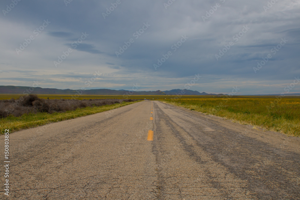 Country Road Country Road
