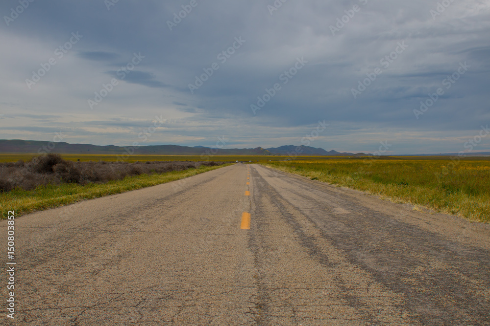 Country Road