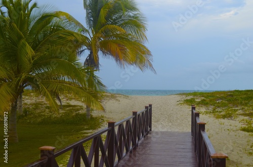 Footpath to the beach, Varadero, Cuba