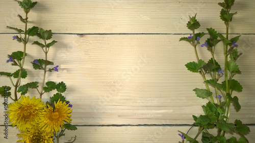 Wooden background