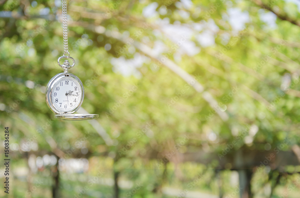 Naklejka premium Pocket watch