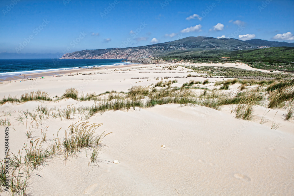 Sand dunes and beach landscape on sunny summer day
