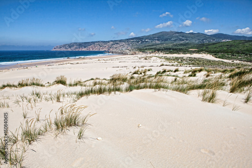 Sand dunes and beach landscape on sunny summer day