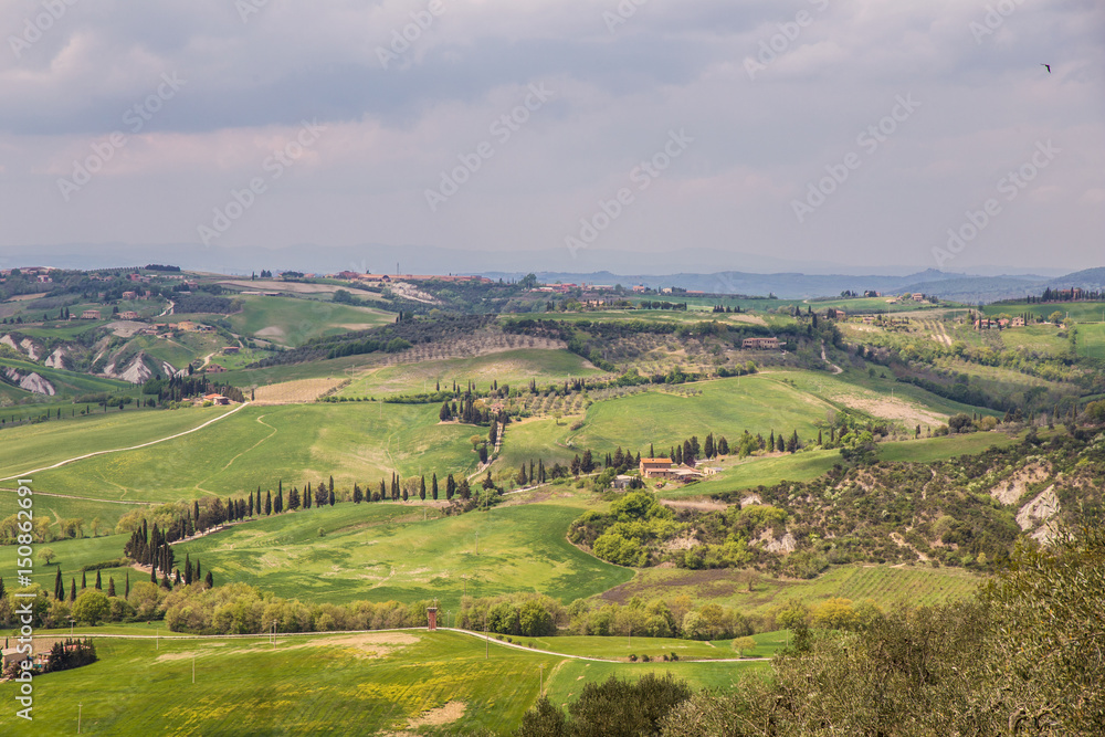 Fototapeta premium Pienza - Toscana - Italien
