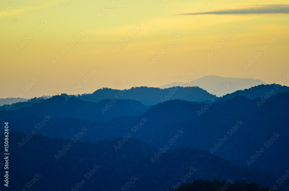 Fototapeta premium Green mountain forest landscape