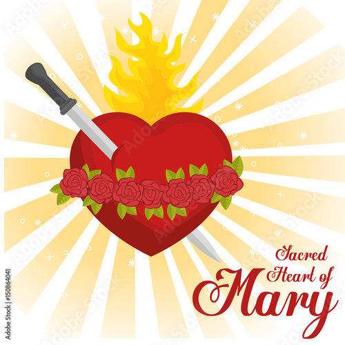 sacred heart of mary vector illustration design