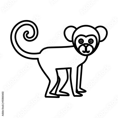 Titi monkey isolated icon vector illustration design