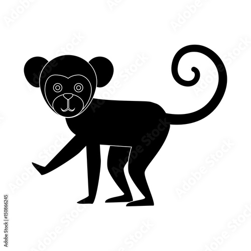 Titi monkey isolated icon vector illustration design
