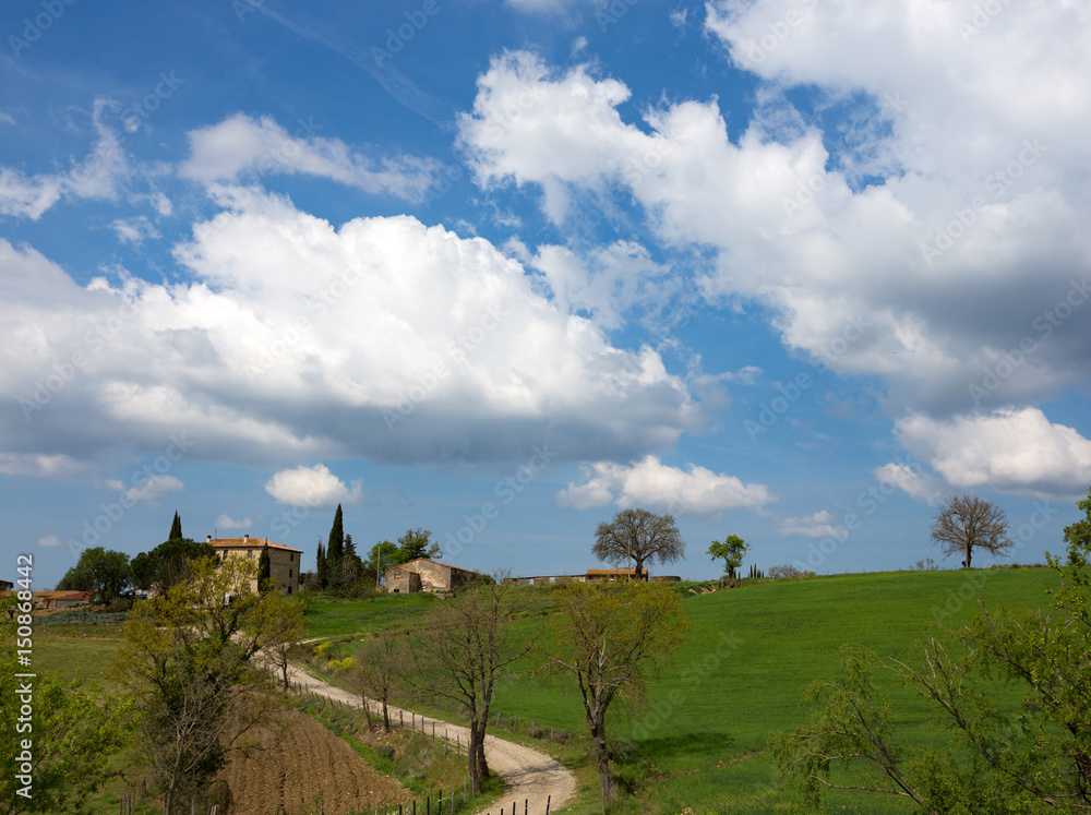 old house and cypresses