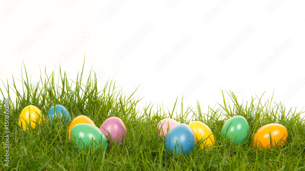 easter eggs in grass