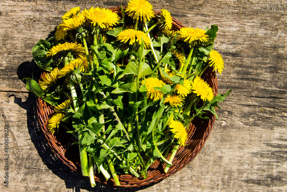 Fototapeta premium Yellow dandelion flowers in basket on rustic wooden background. Top view