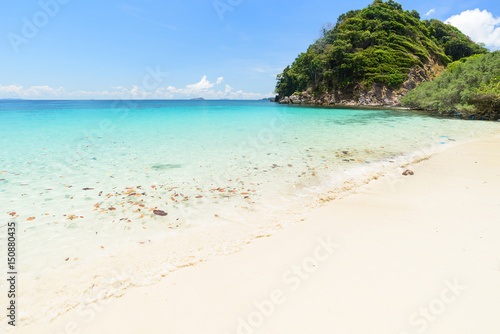 Fototapeta Naklejka Na Ścianę i Meble -  Landscape of sea white sand beach  in Andaman sea,myanmar