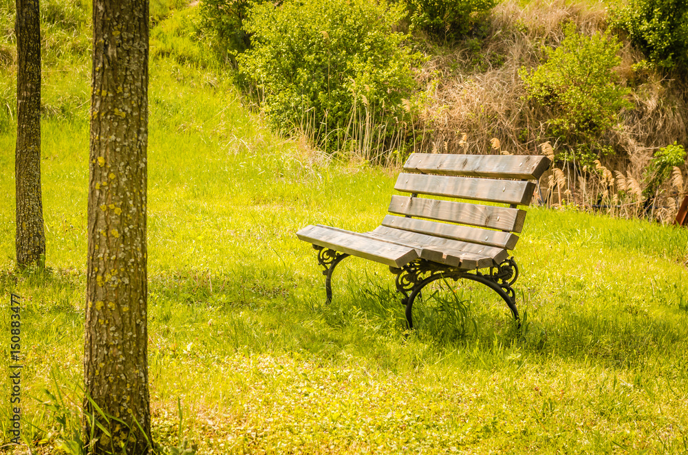 Naklejka premium An empty bench. Autumn in the park 