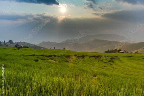 Terraced Rice Field with Hut and Mountain Background   Chiang Mai in Thailand  Blur Background    