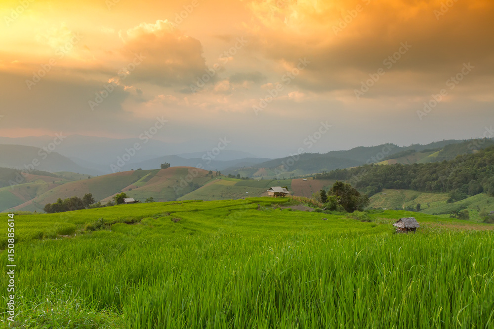 Terraced Rice Field with Hut and Mountain Background , Chiang Mai in Thailand ,Blur Background
Terraced Rice Field with Hut and Mountain Background , Chiang Mai in Thailand ,Blur Background