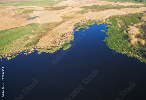Aerial view of marsh reeds.