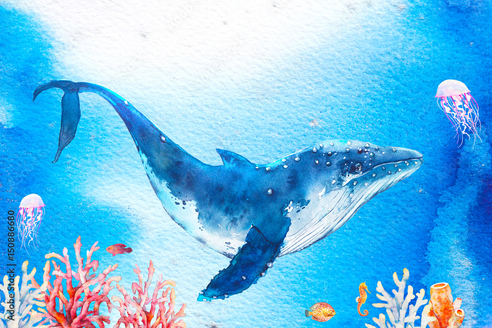 Fototapeta Akwareli podwodna ilustracja z wielorybem. Ręcznie rysowane grafika z oddziałów korala, konik morski, meduzy i ryby na tle splash.