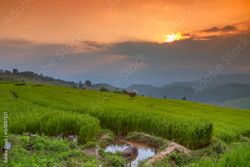 Terraced Rice Field with Hut and Mountain Background , Chiang Mai in Thailand ,Blur Background