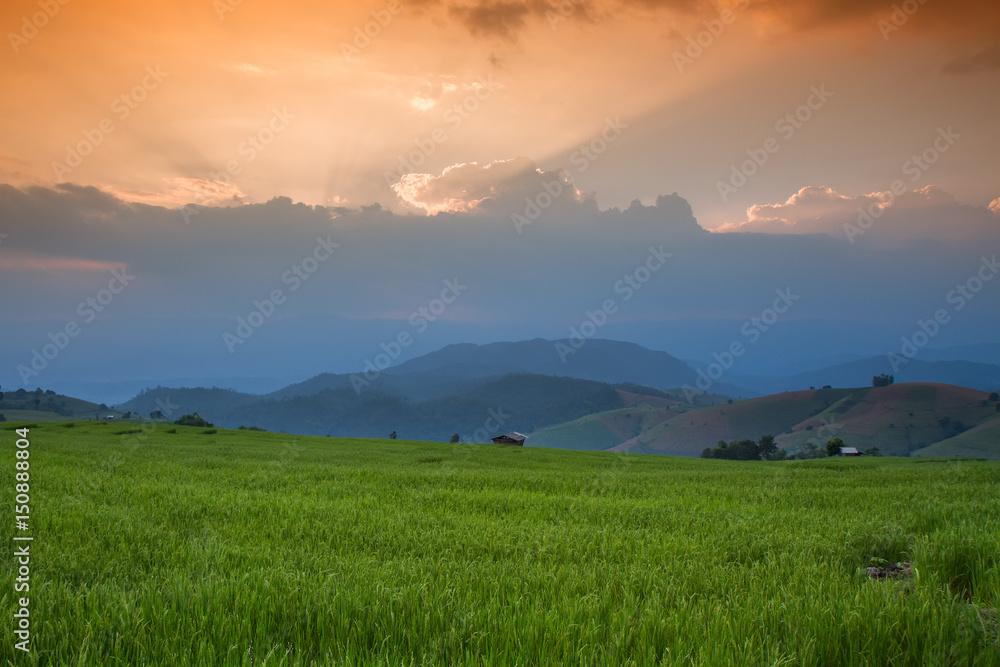 Terraced Rice Field with Hut and Mountain Background , Chiang Mai in Thailand ,Blur Background
Terraced Rice Field with Hut and Mountain Background , Chiang Mai in Thailand ,Blur Background