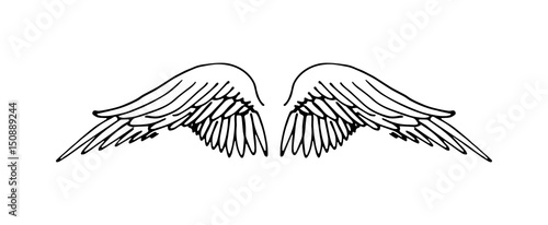 Wings illustration