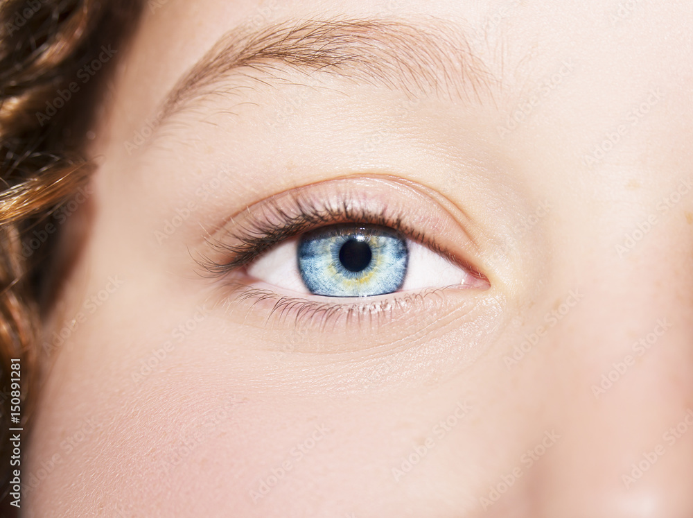 Obraz premium Piękne, wnikliwe spojrzenie. Bliska strzał