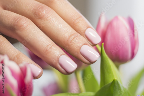Pink female nails and tulips