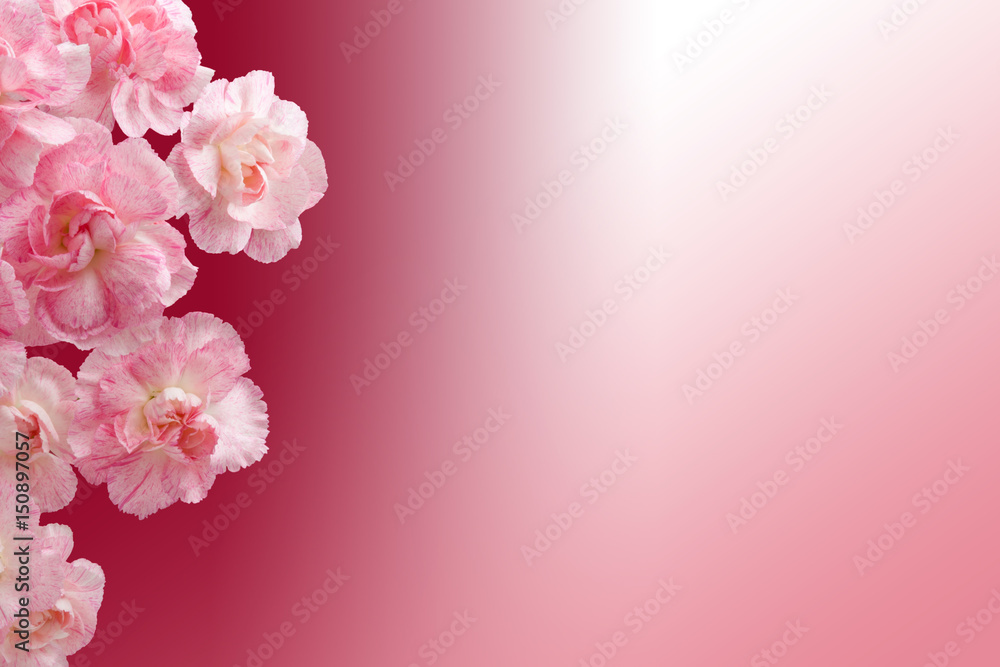 Mother's Day. Greeting card for women. Beautiful bouquet of pink Carnations on a dark red background. Flower Gift Mom. Festive invitation. Mother's Day. Greeting card for women. Beautiful bouquet of pink Carnations on a dark red background. Flower Gift Mom. Festive invitation.