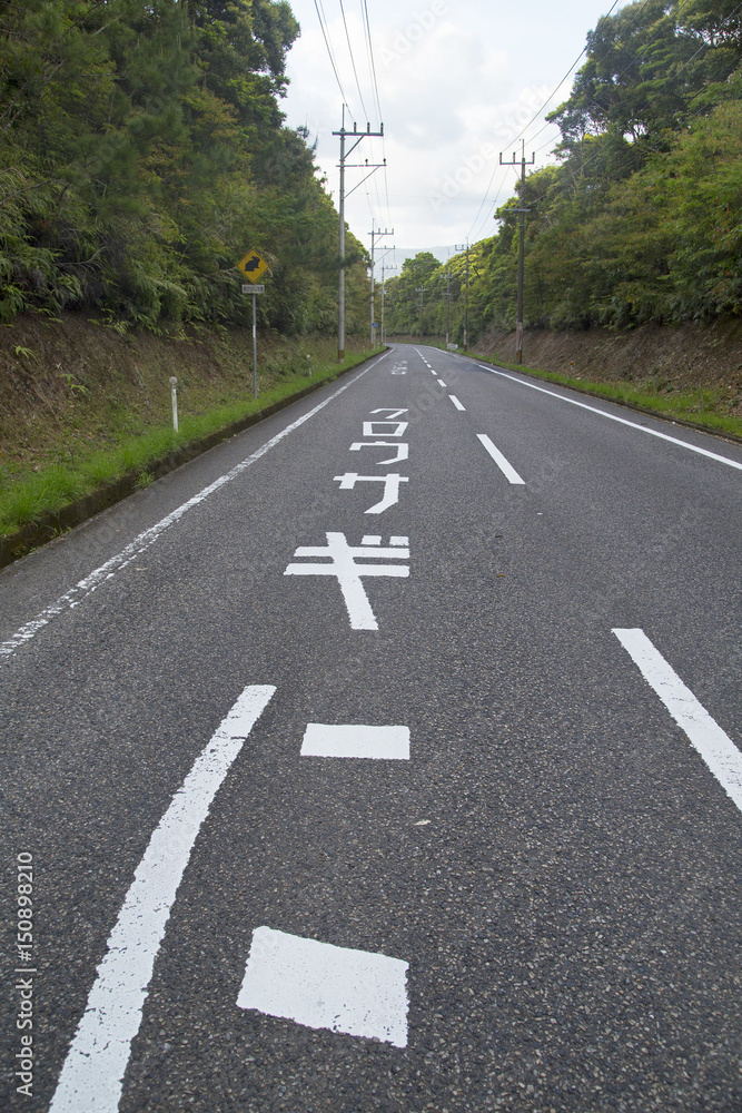 Naklejka premium 奄美大島 国道58号線