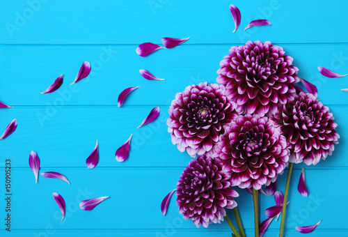 Fototapeta Naklejka Na Ścianę i Meble -   Flowers on blue painted wooden planks.