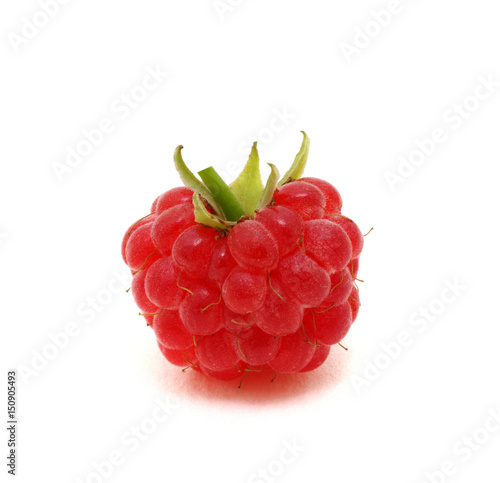  raspberry isolated on white