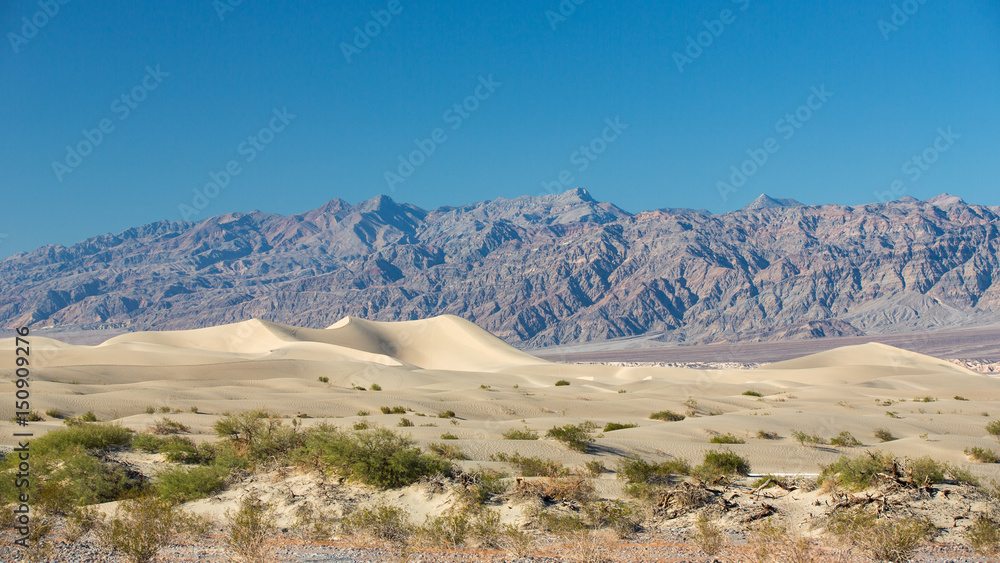 Landscape in Death Valley National Park, USA. Landscape in Death Valley National Park, USA.