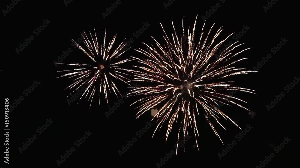 Fireworks exploding in the night sky Fireworks exploding in the night sky