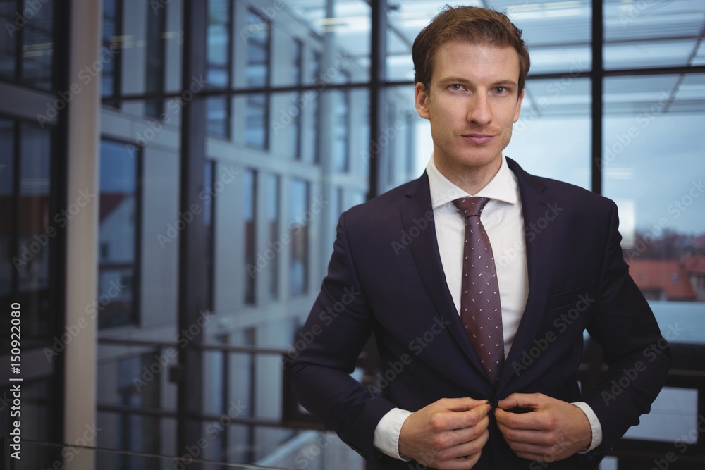 Portrait of handsome businessman standing in corridor Portrait of handsome businessman standing in corridor