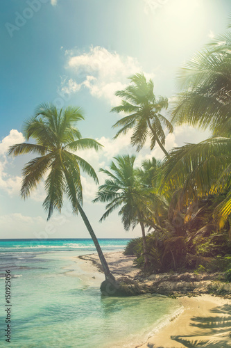 Beach with coconut palm   uninhabited tropical island