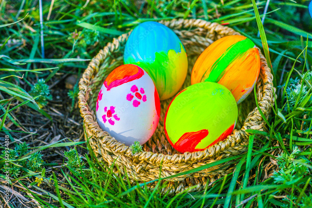 Obraz premium Colored Easter eggs