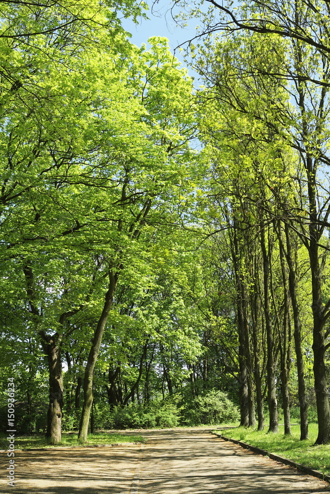 Fototapeta premium miejsce do wypoczynku
