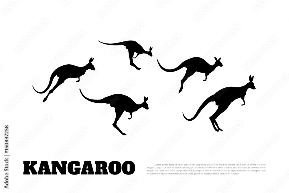 Black silhouettes of jumping kangaroos on a white background. Isolated drawing of a wallaby