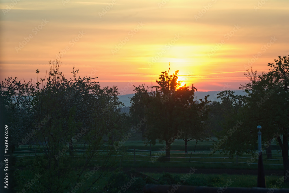 Fototapeta premium Sunrise over a hil