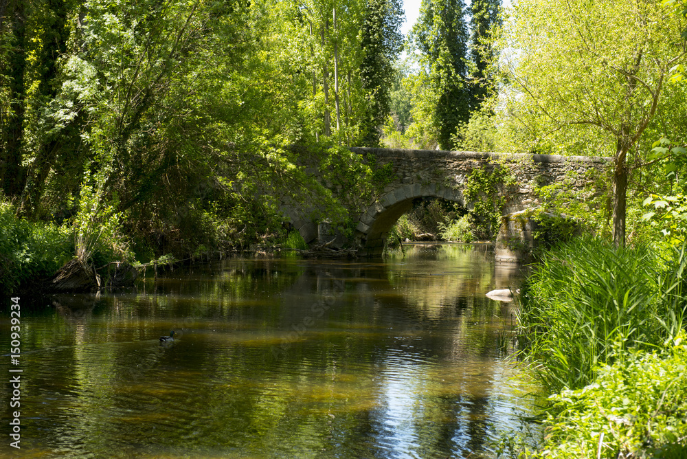 Stone bridge over a river