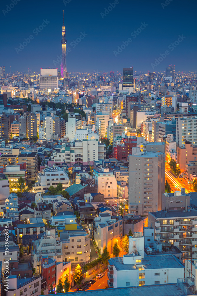 Naklejka premium Tokio. Obraz panoramę miasta Tokio w zmierzchu w Japonii.