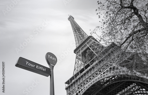 Photography Eiffel Tower or Tour Eiffel in Paris in Spring, black and white picture