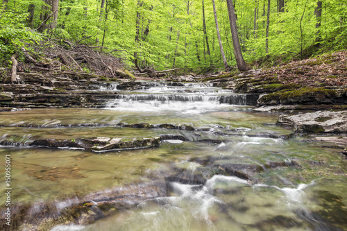 Fototapeta Naklejka Na Ścianę i Meble -  Woodland Brook - Fall Creek Waterfall - Putnam County, Indiana