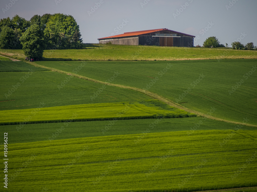 Obraz premium Ackerbau im frühjahr