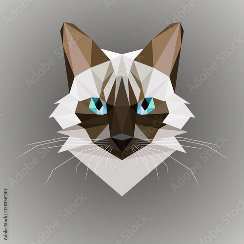 Vector cat in a polygon style. Siamese cat head